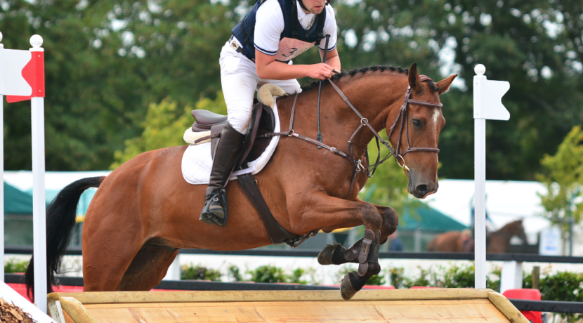 Young Event Horses take centre stage at Millstreet this August