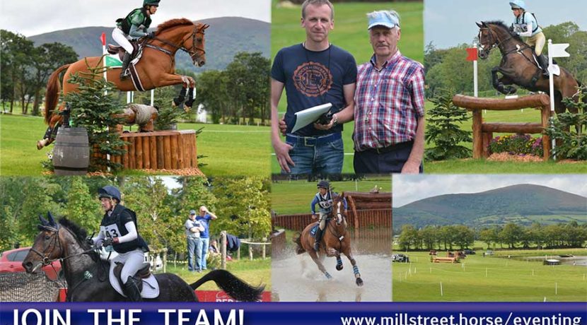 Volunteer at Millstreet 2017!