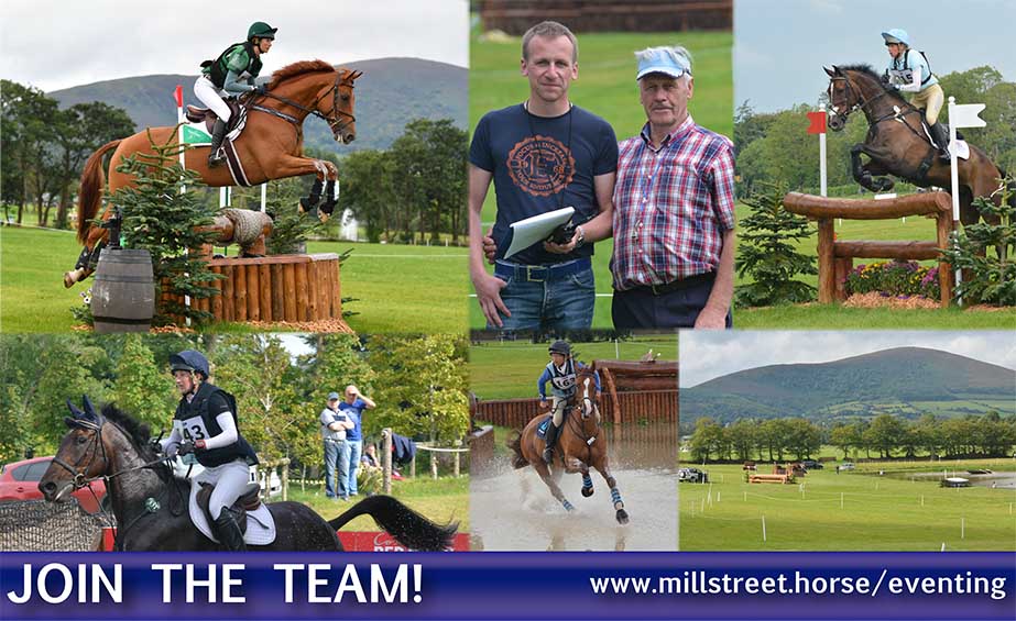 Volunteer at Millstreet 2017!