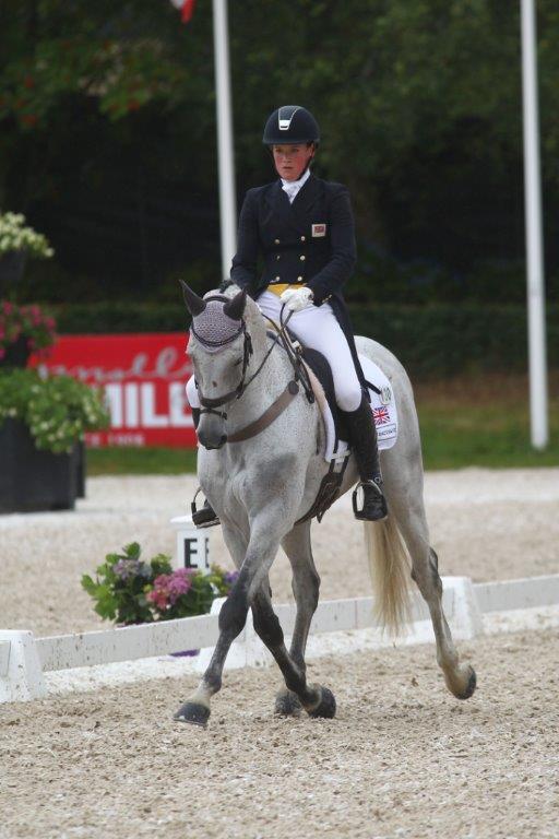 Juniors – Final Dressage Update