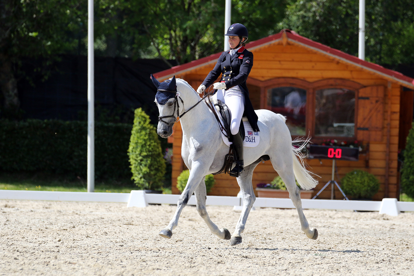 Piggy March’s Halo is shining at Millstreet