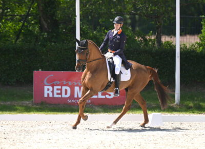 Burto is back in the sunlight at Millstreet