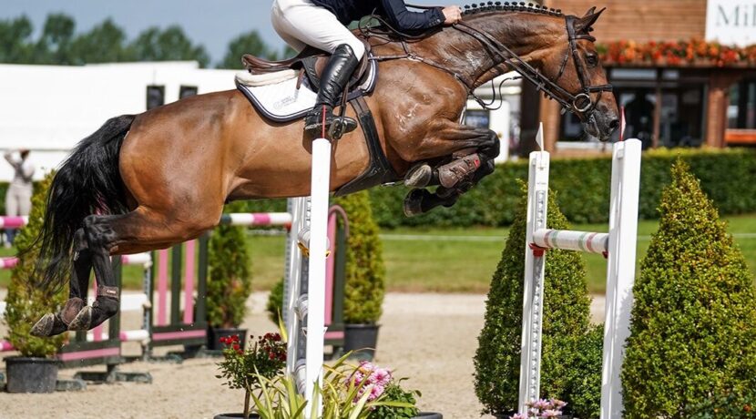 Millstreet International Horse Show 2026: CSI2* Takes Centre Stage at Green Glens Arena