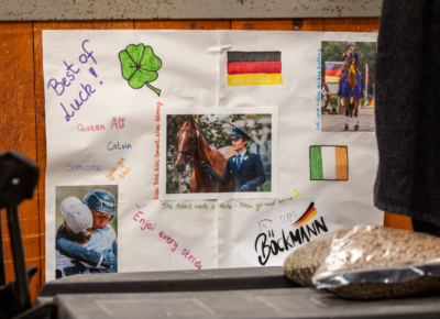 Calvin is on top of the world to be back at Millstreet