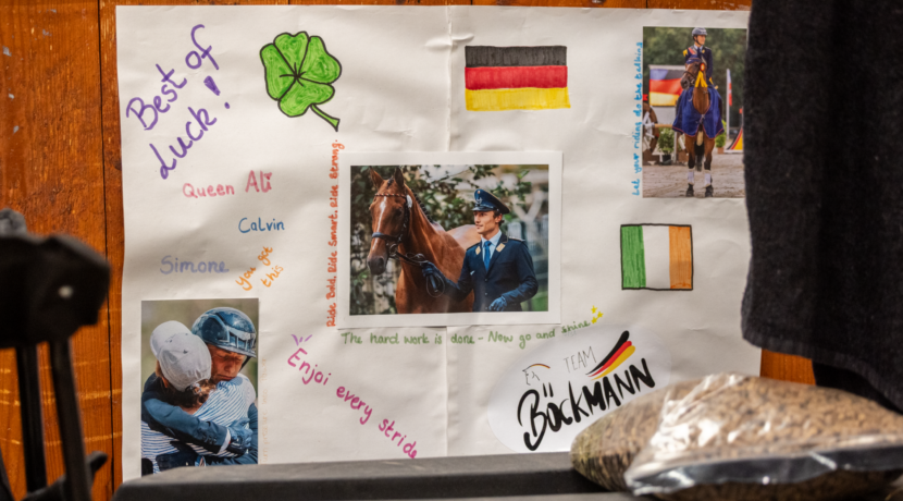 Calvin is on top of the world to be back at Millstreet