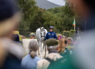 All change at the top as British and Irish horses withdrawn