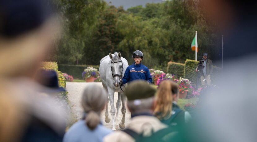 All change at the top as British and Irish horses withdrawn