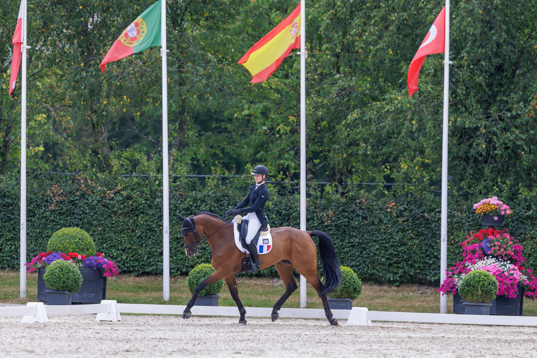 FEI Under-25 Eventing World Championship Millstreet