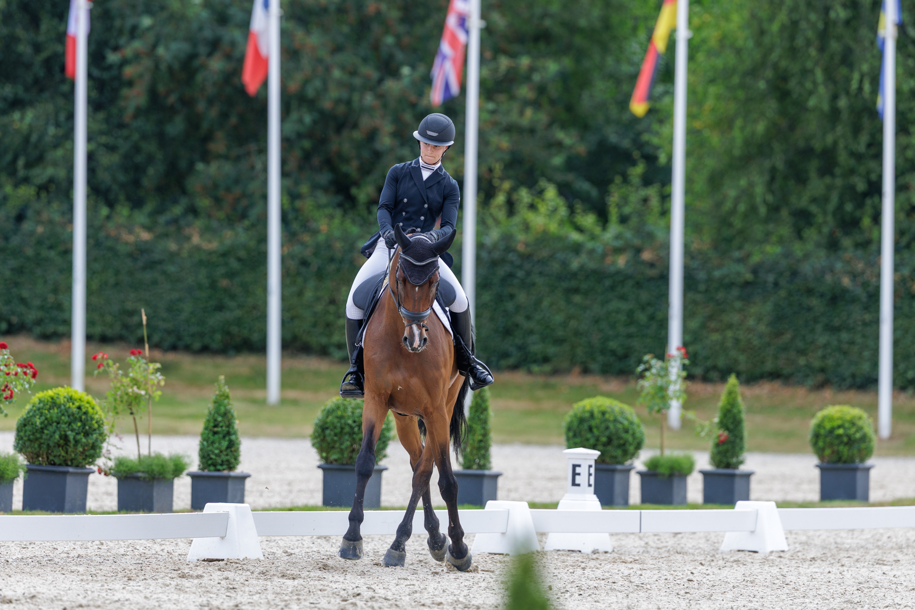FEI Under-25 Eventing World Championship Millstreet