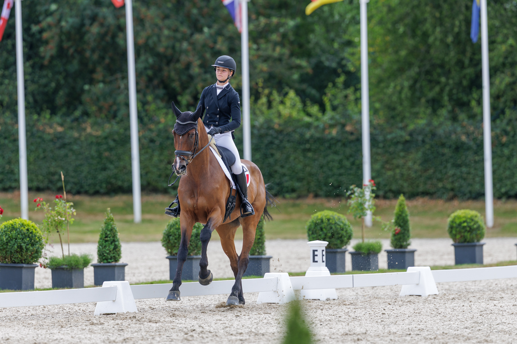 FEI Under-25 Eventing World Championship Millstreet