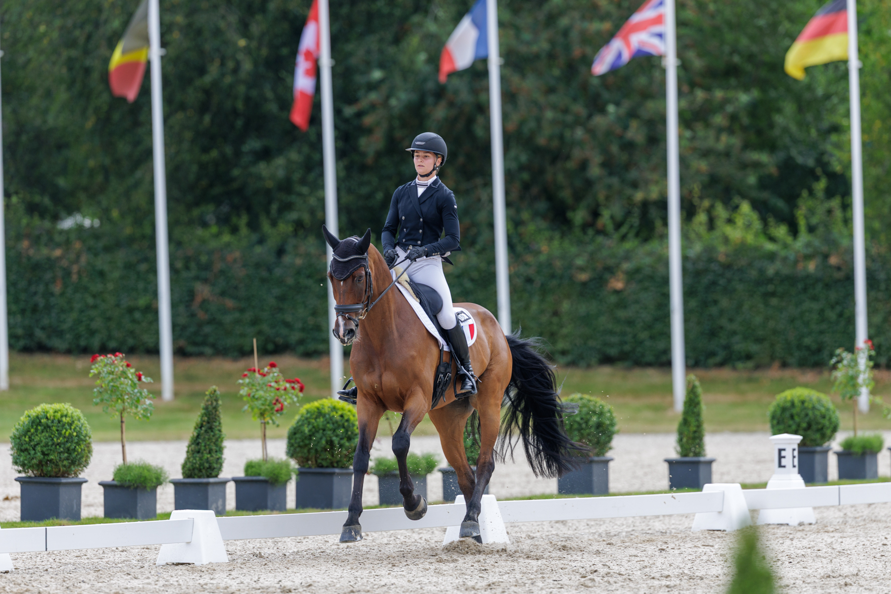 FEI Under-25 Eventing World Championship Millstreet