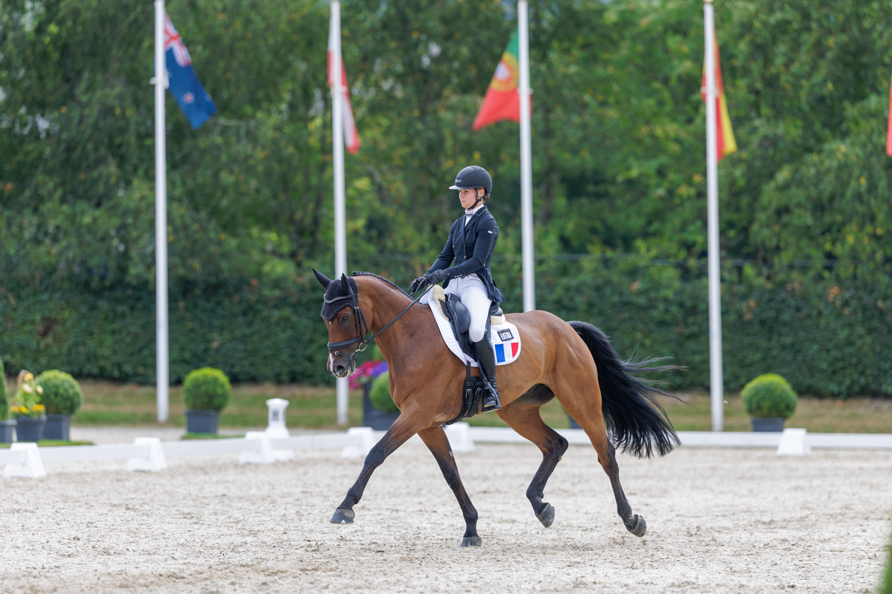 FEI Under-25 Eventing World Championship Millstreet