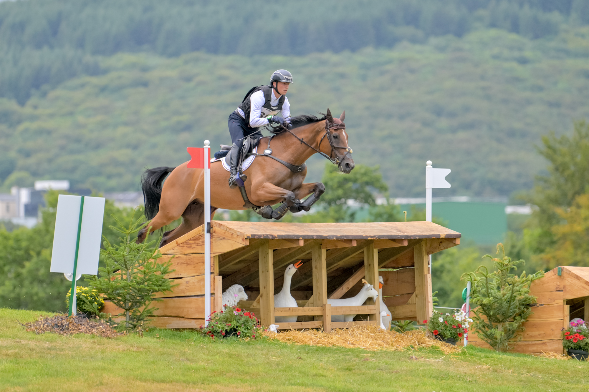 FEI Under-25 Eventing World Championship Millstreet