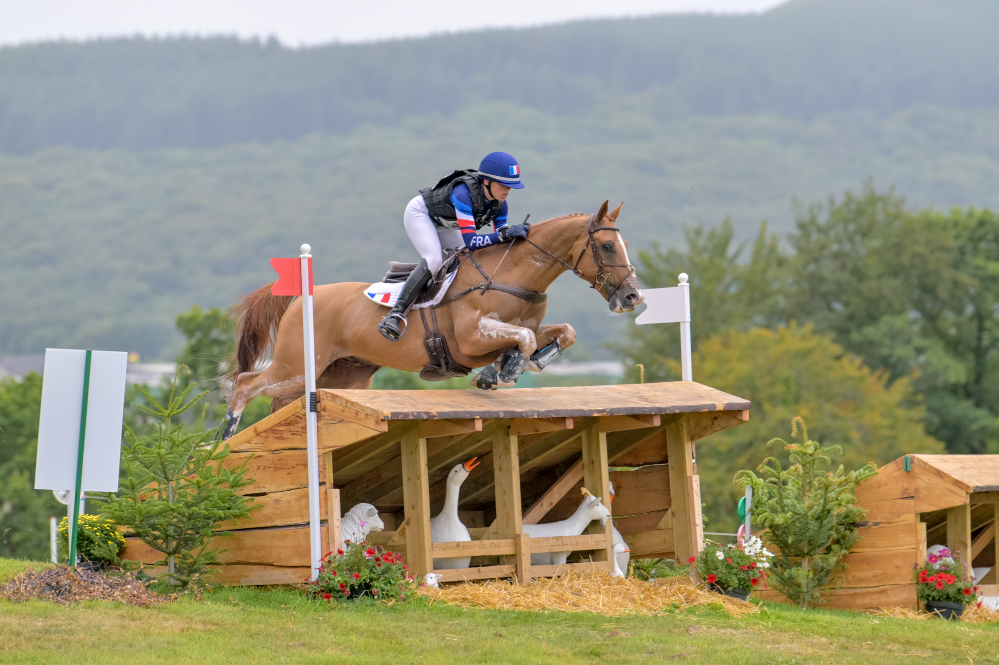 FEI Under-25 Eventing World Championship Millstreet