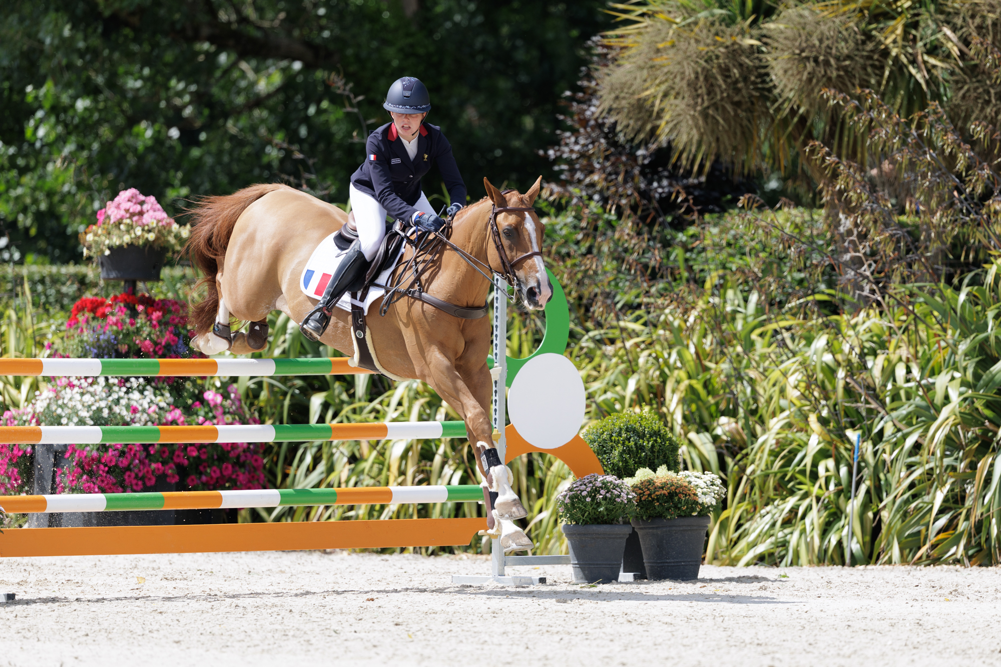 FEI Under-25 Eventing World Championship Millstreet