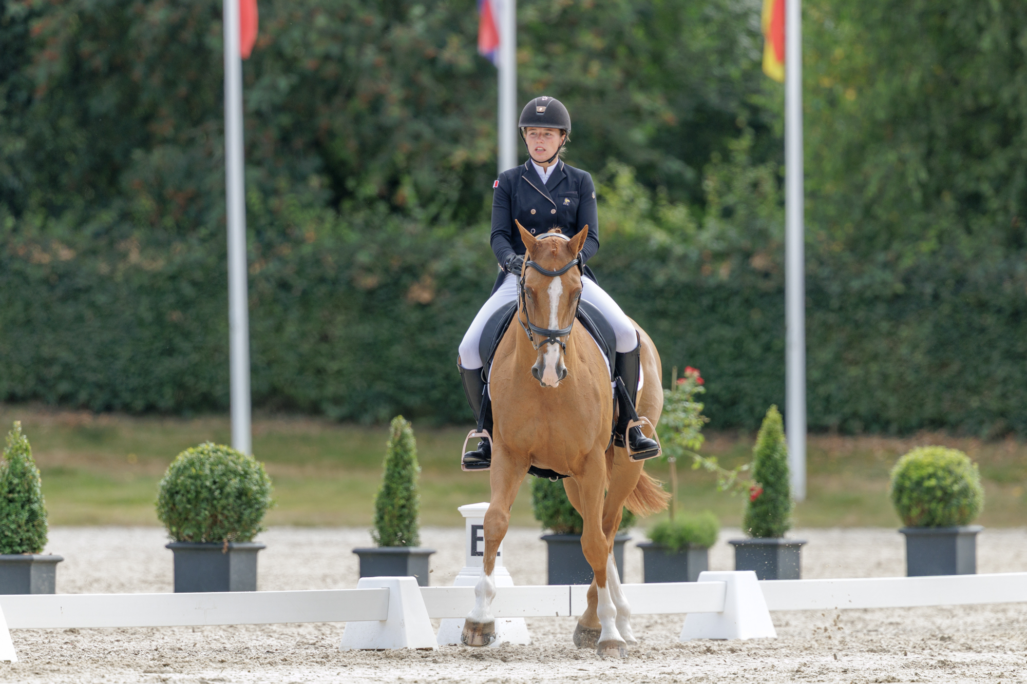 FEI Under-25 Eventing World Championship Millstreet