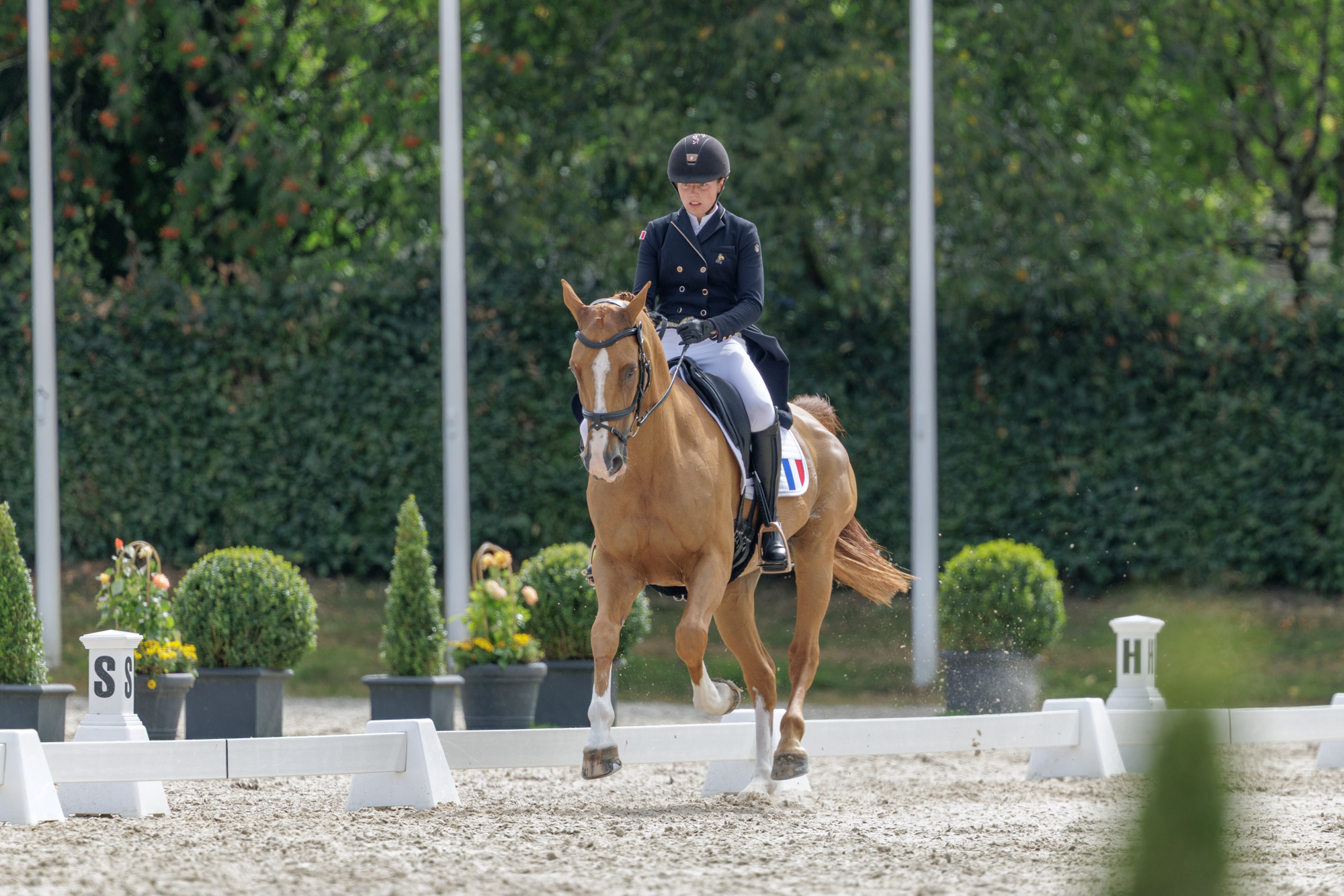 FEI Under-25 Eventing World Championship Millstreet