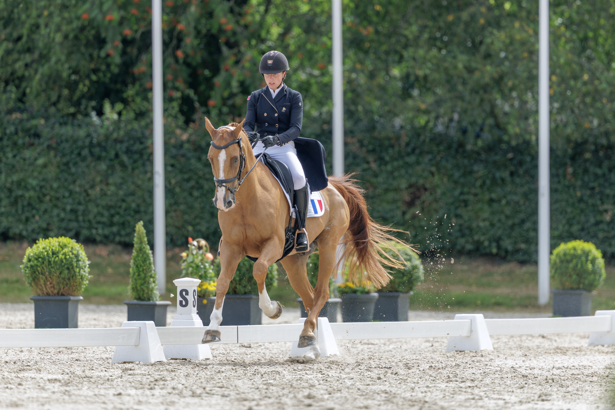 FEI Under-25 Eventing World Championship Millstreet