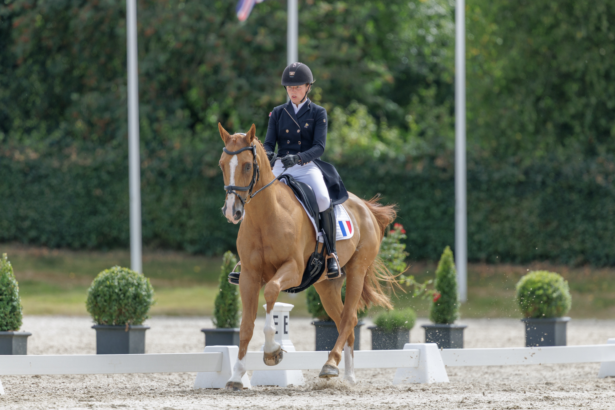 FEI Under-25 Eventing World Championship Millstreet