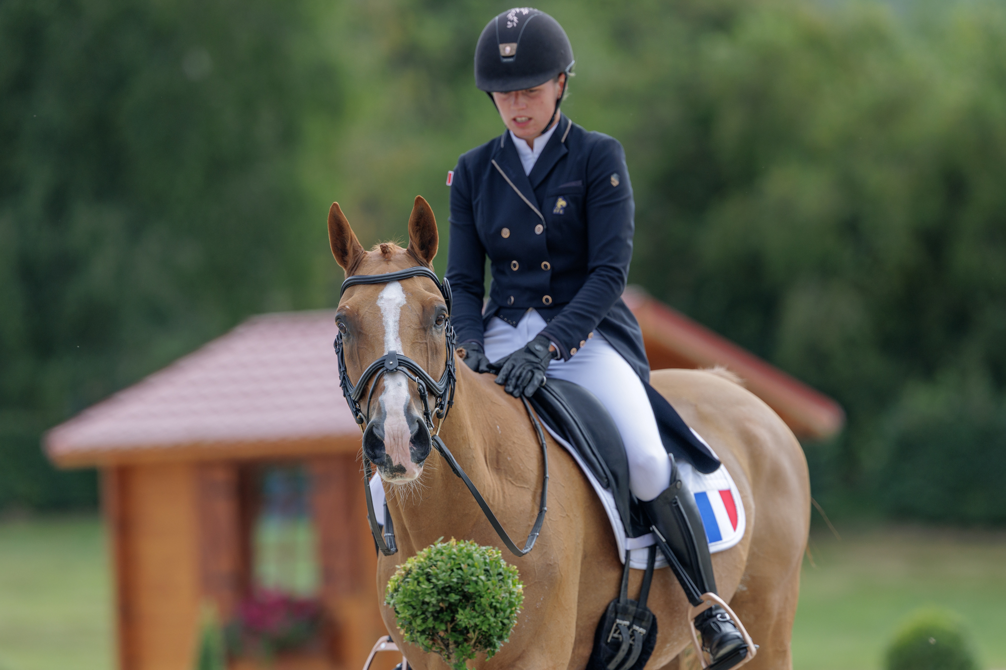 FEI Under-25 Eventing World Championship Millstreet