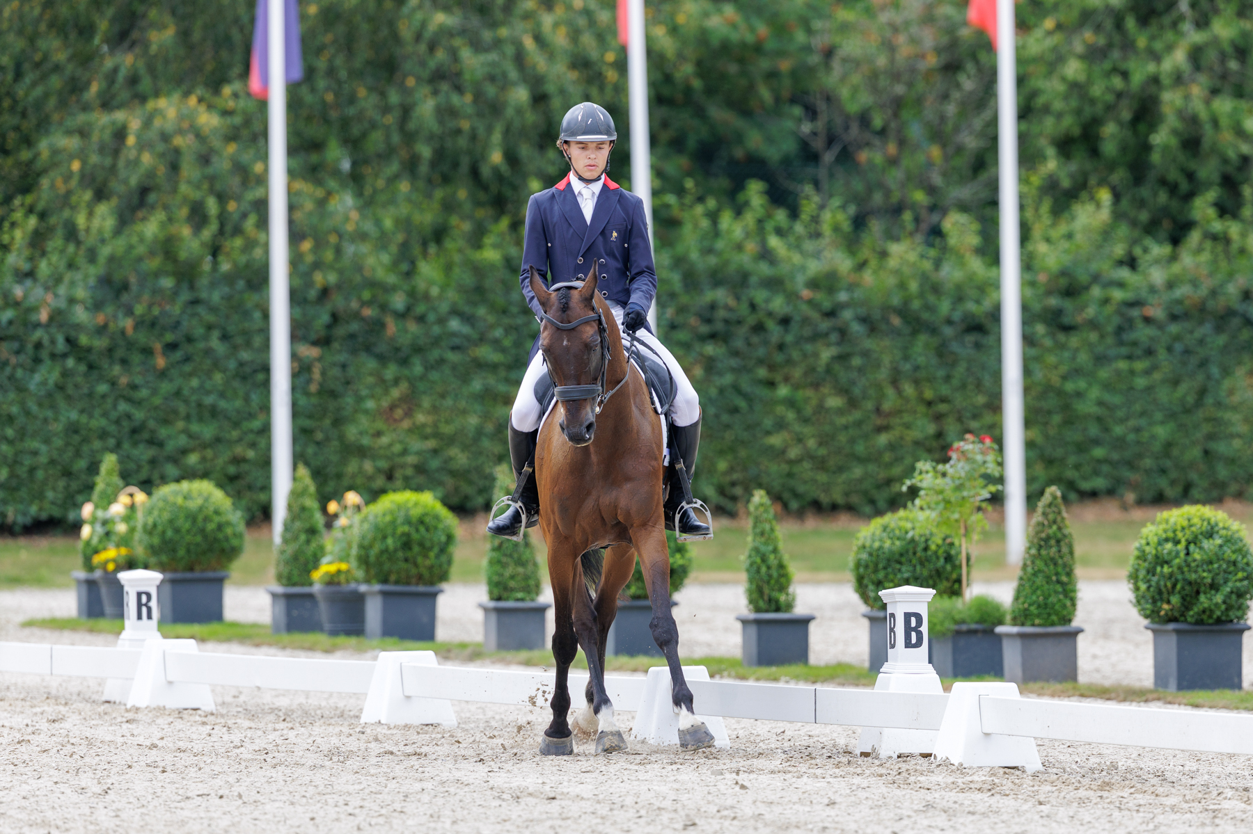 FEI Under-25 Eventing World Championship Millstreet