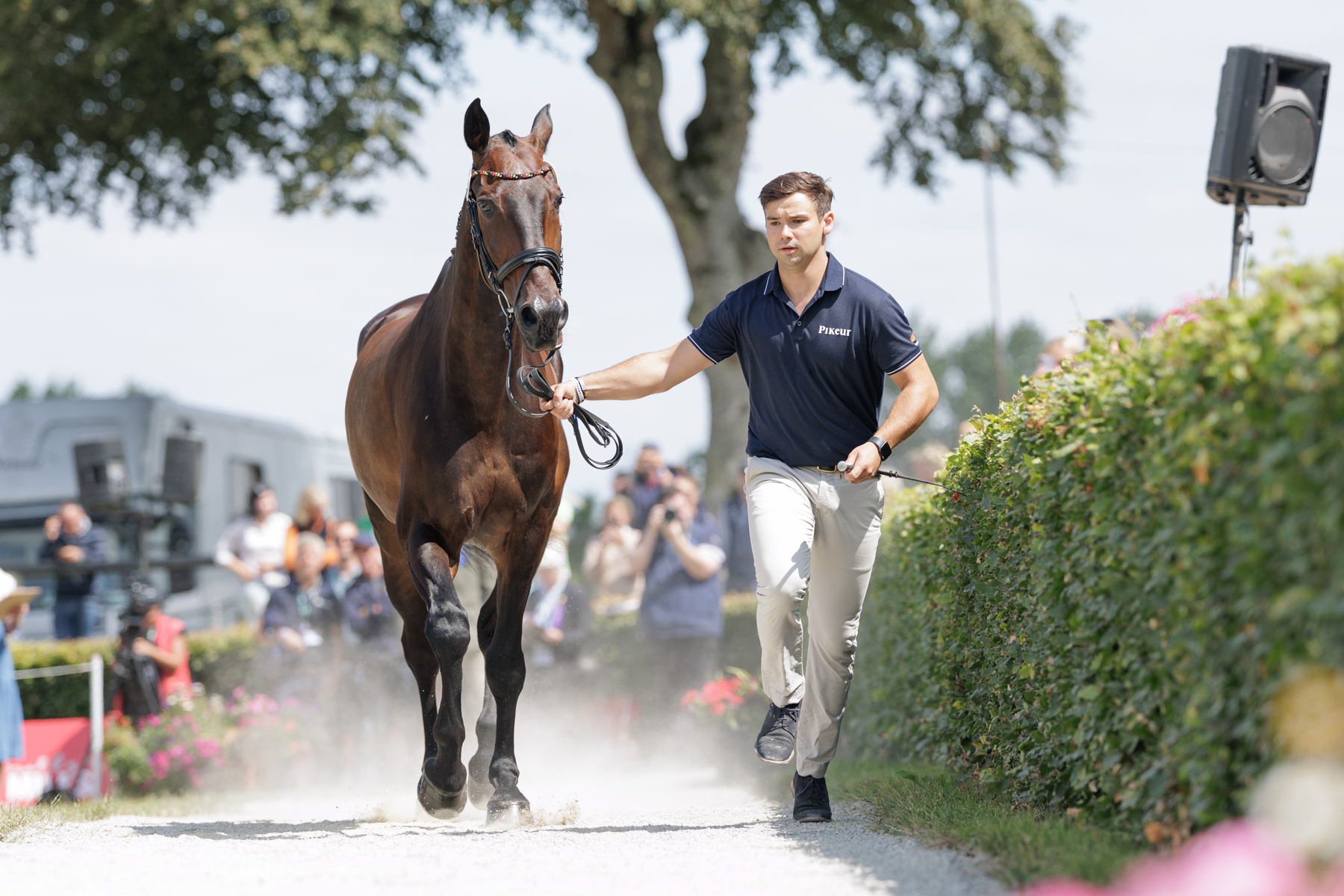 The FEI Eventing World Championship U25 2026 presented by Connolly’s RED MILLS