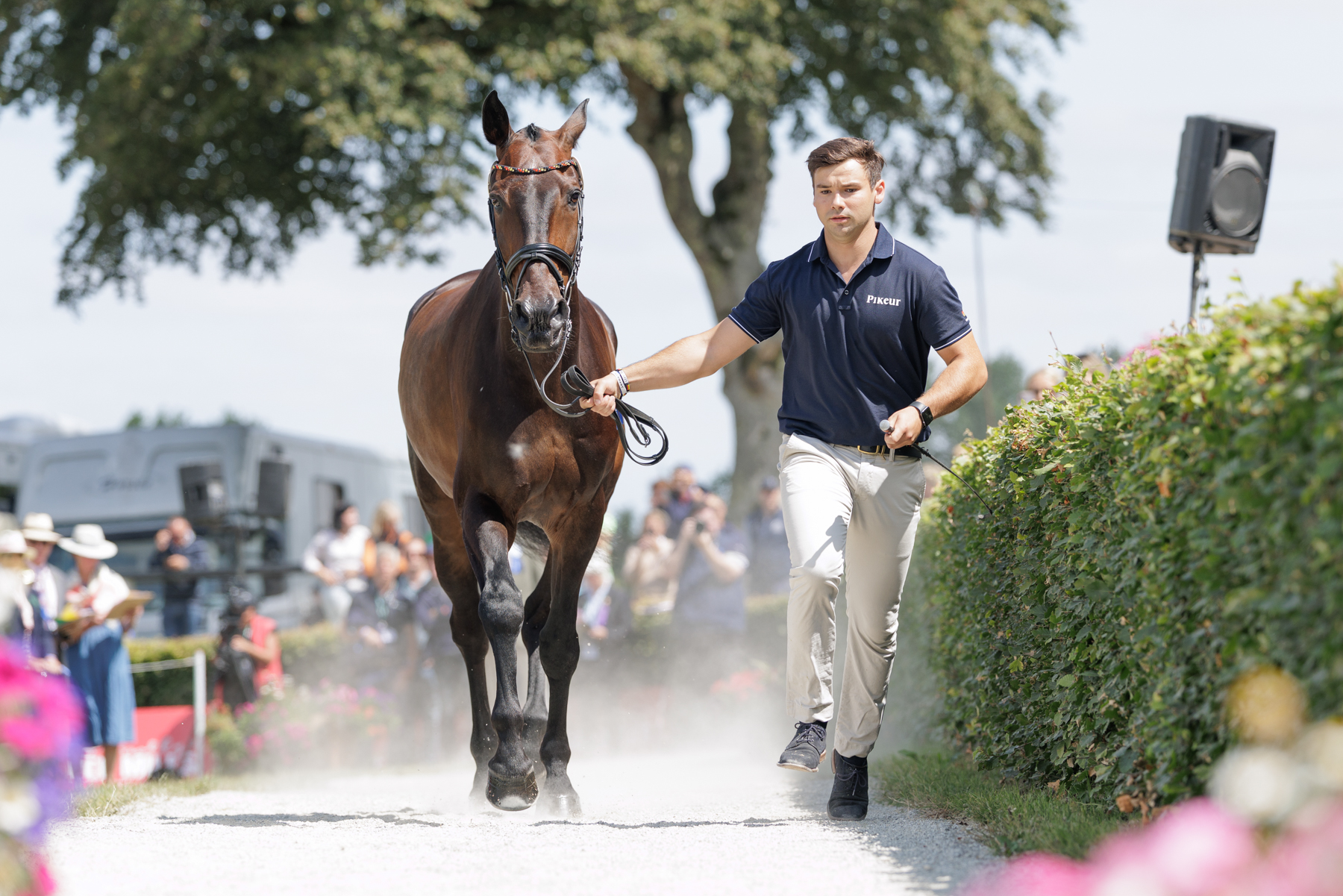 The FEI Eventing World Championship U25 2026 presented by Connolly’s RED MILLS