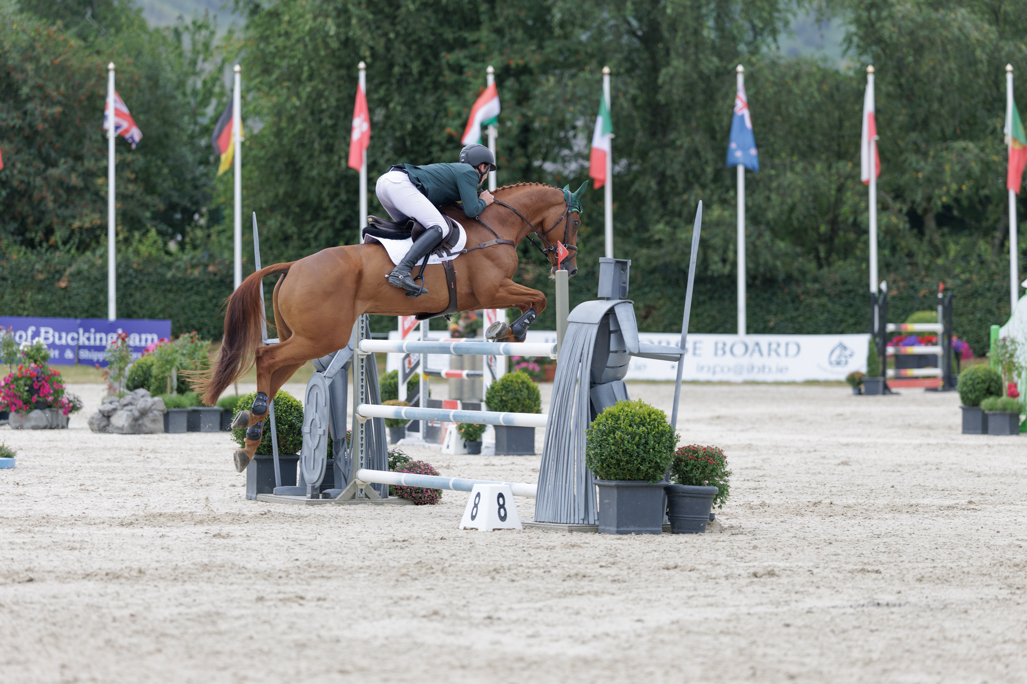 FEI Under-25 Eventing World Championship Millstreet