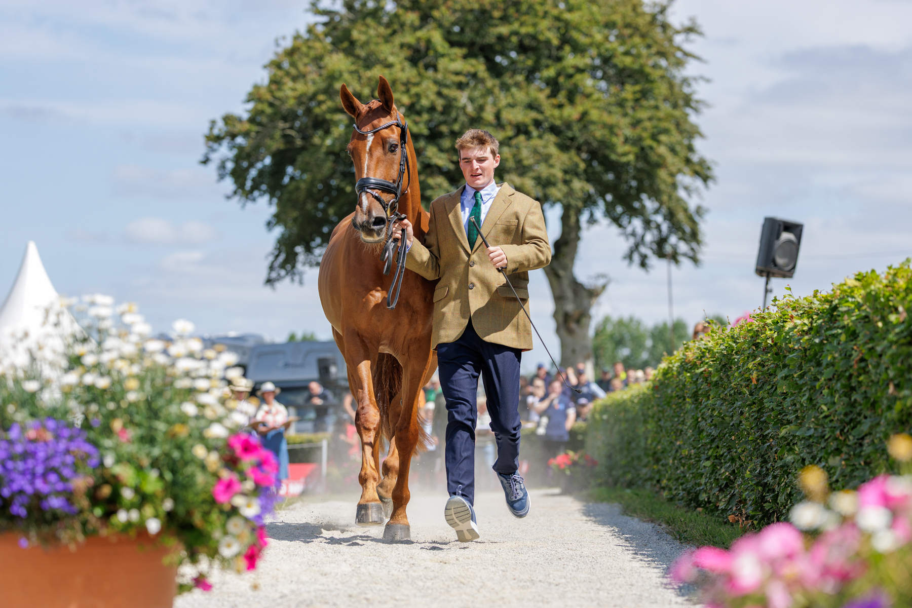 The FEI Eventing World Championship U25 2026 presented by Connolly’s RED MILLS