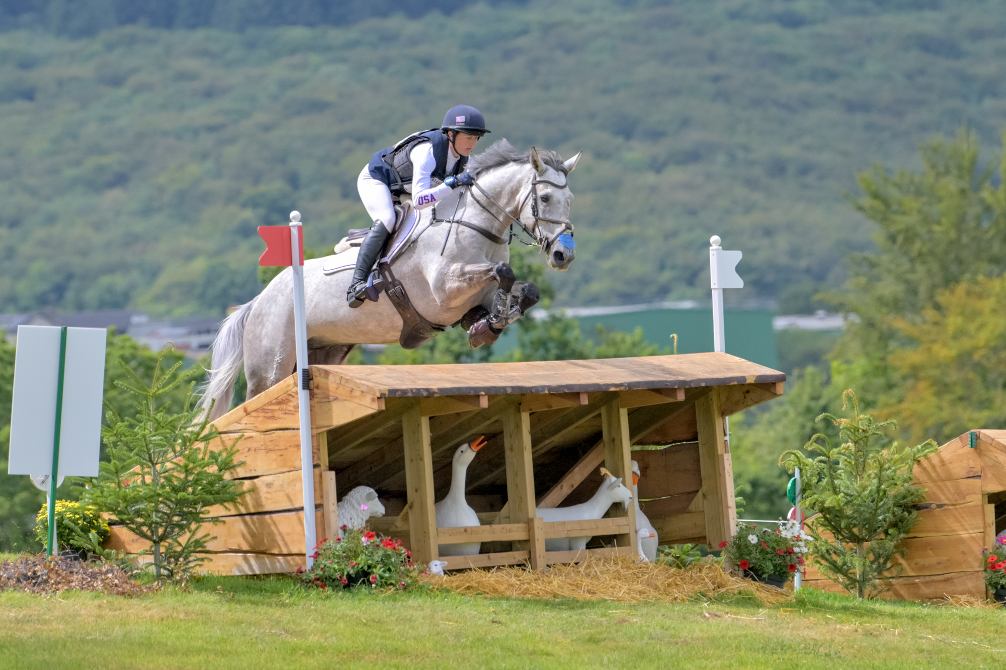 FEI Under-25 Eventing World Championship Millstreet