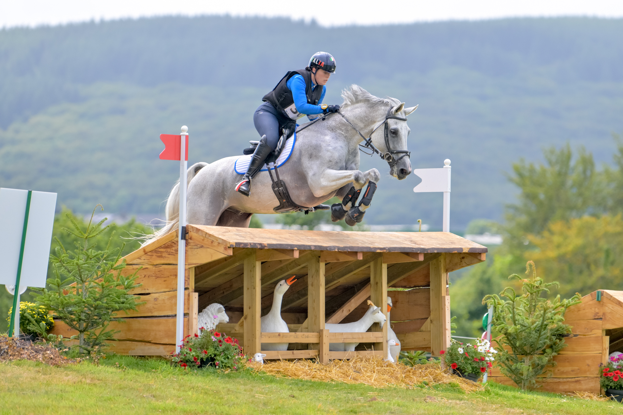 FEI Under-25 Eventing World Championship Millstreet