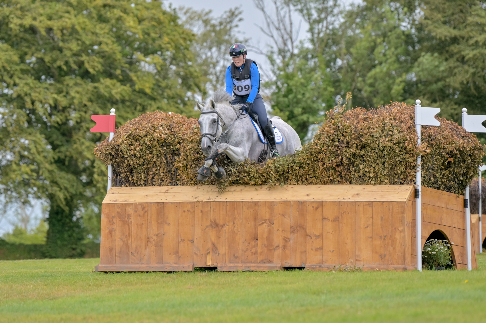 FEI Under-25 Eventing World Championship Millstreet