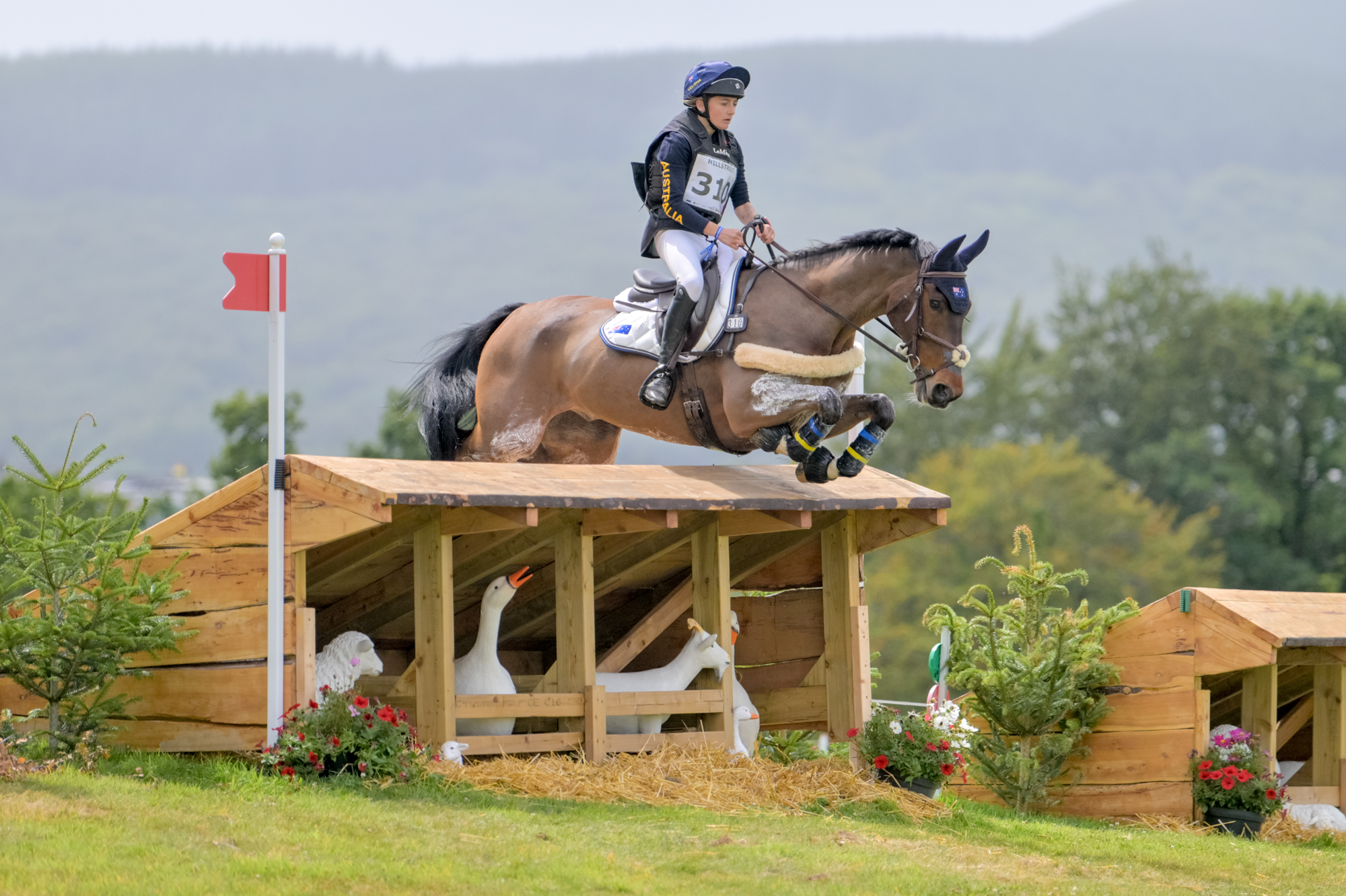 FEI Under-25 Eventing World Championship Millstreet