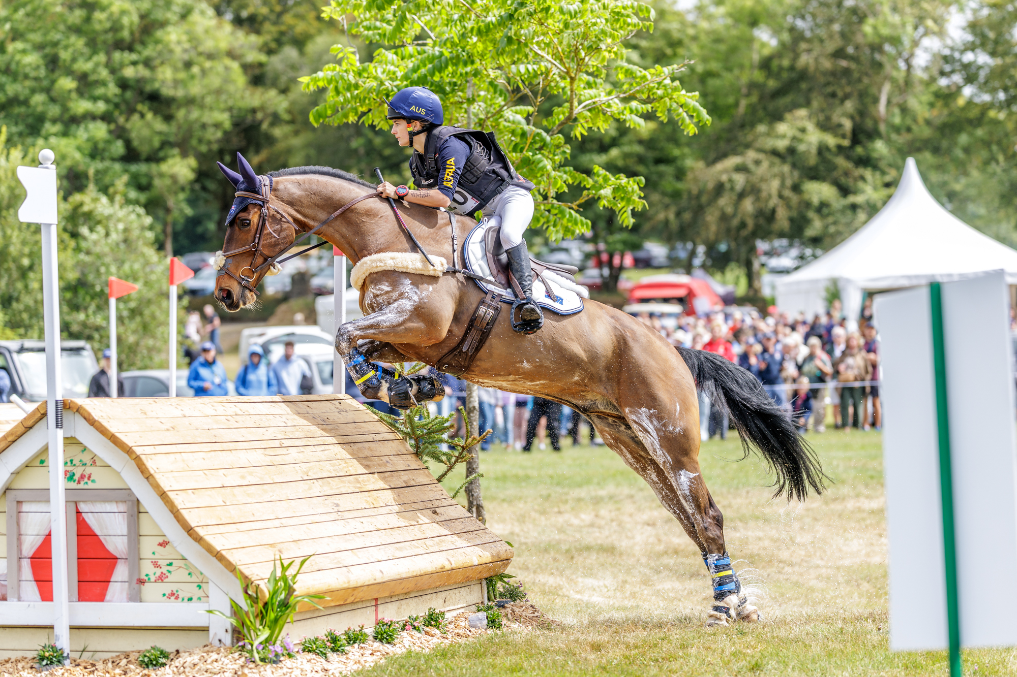 FEI Under-25 Eventing World Championship Millstreet