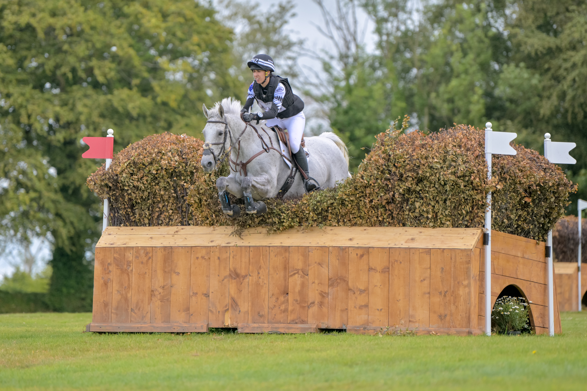 FEI Under-25 Eventing World Championship Millstreet