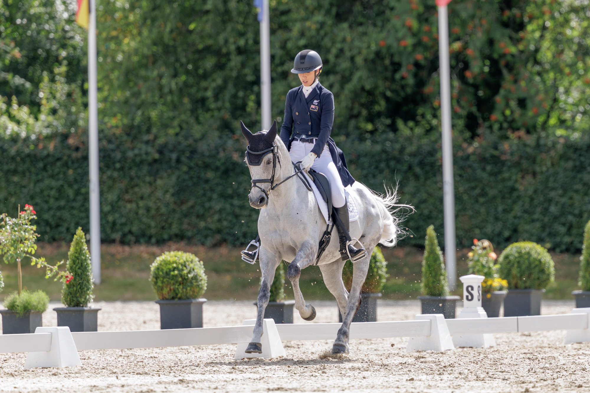 FEI Under-25 Eventing World Championship Millstreet