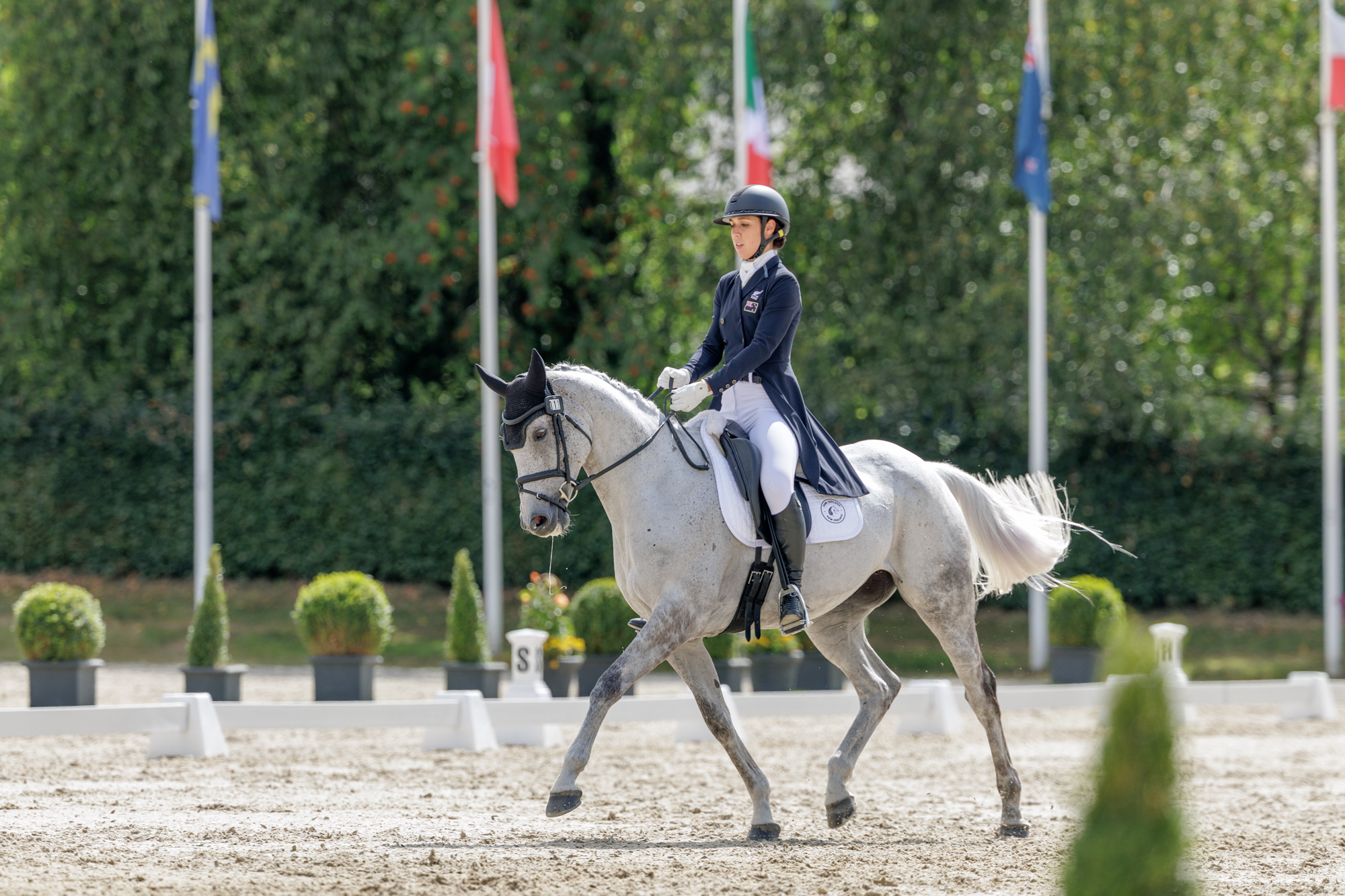 FEI Under-25 Eventing World Championship Millstreet