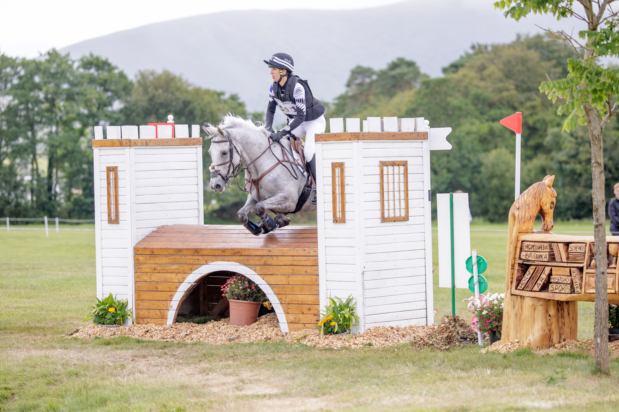 FEI Under-25 Eventing World Championship Millstreet