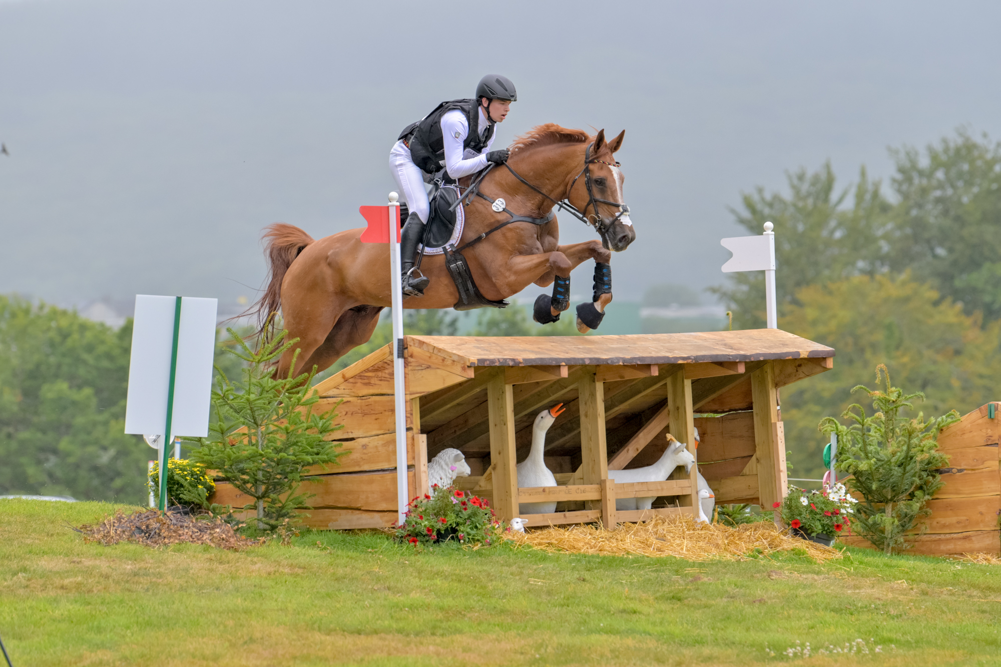 FEI Under-25 Eventing World Championship Millstreet