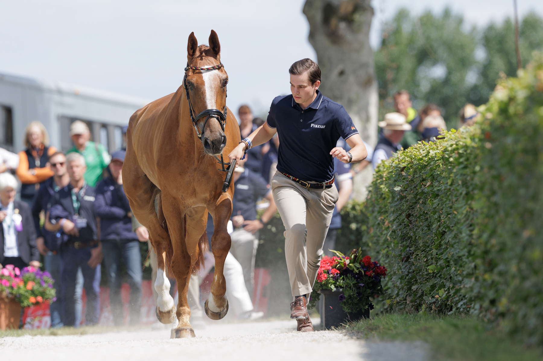 The FEI Eventing World Championship U25 2026 presented by Connolly’s RED MILLS