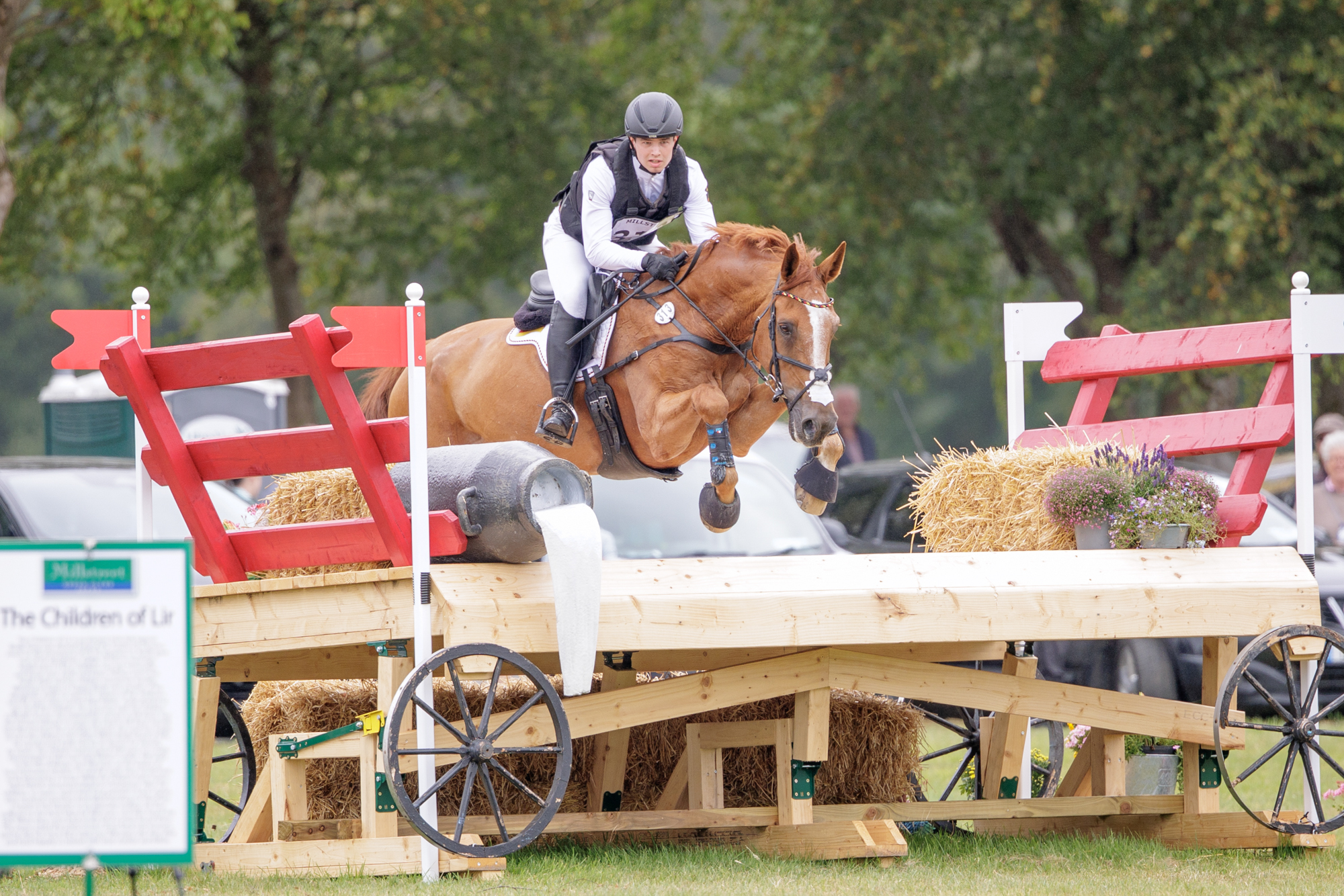 FEI Under-25 Eventing World Championship Millstreet