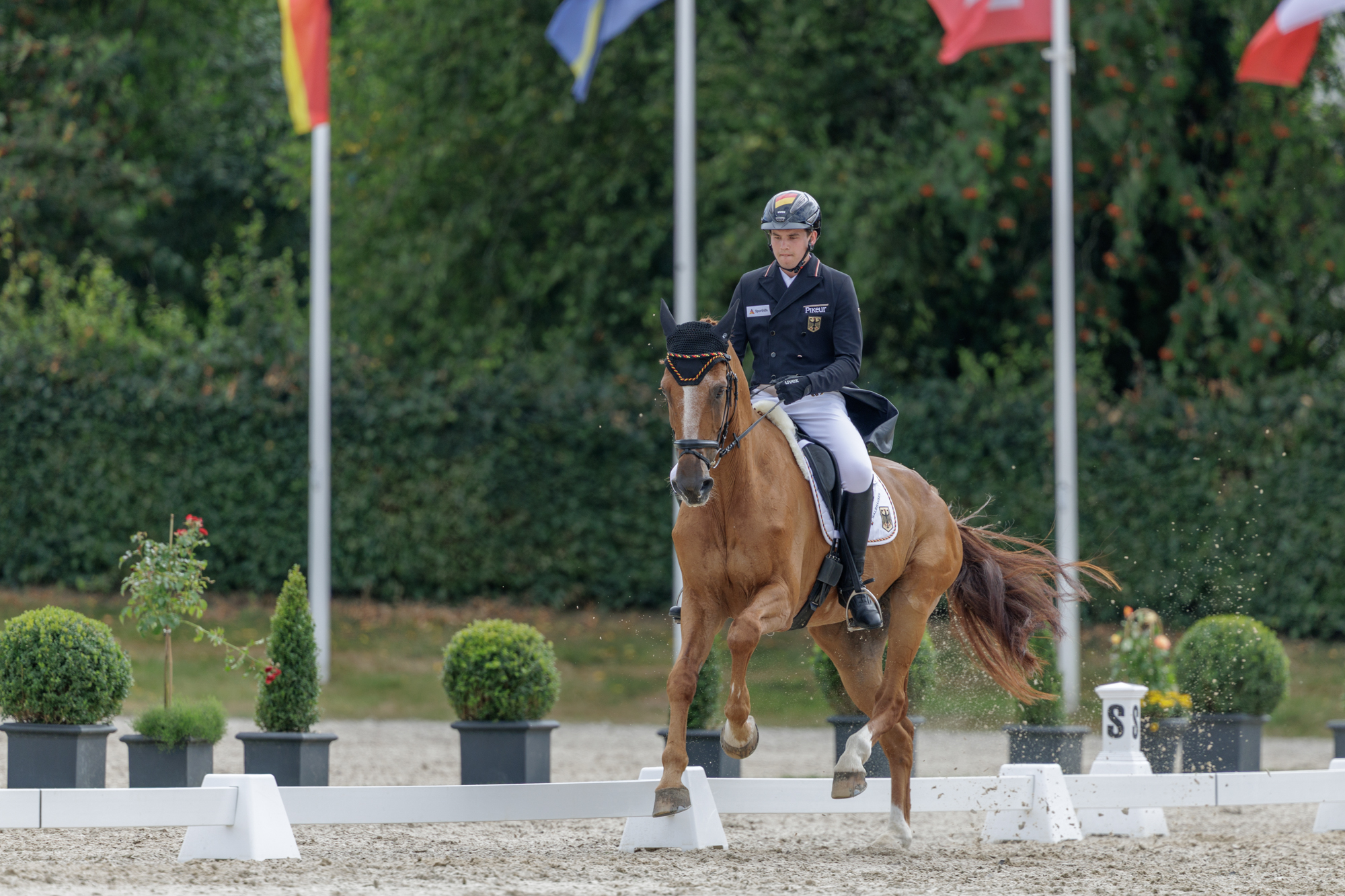 FEI Under-25 Eventing World Championship Millstreet