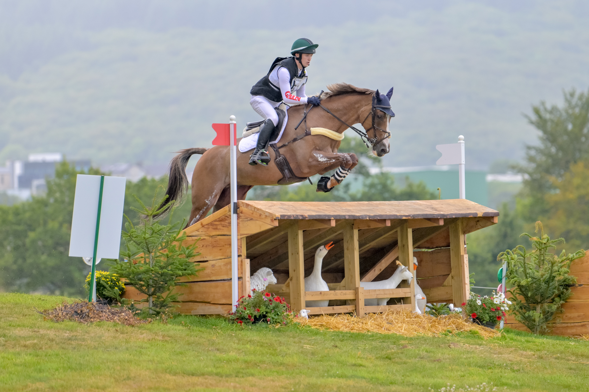 FEI Under-25 Eventing World Championship Millstreet