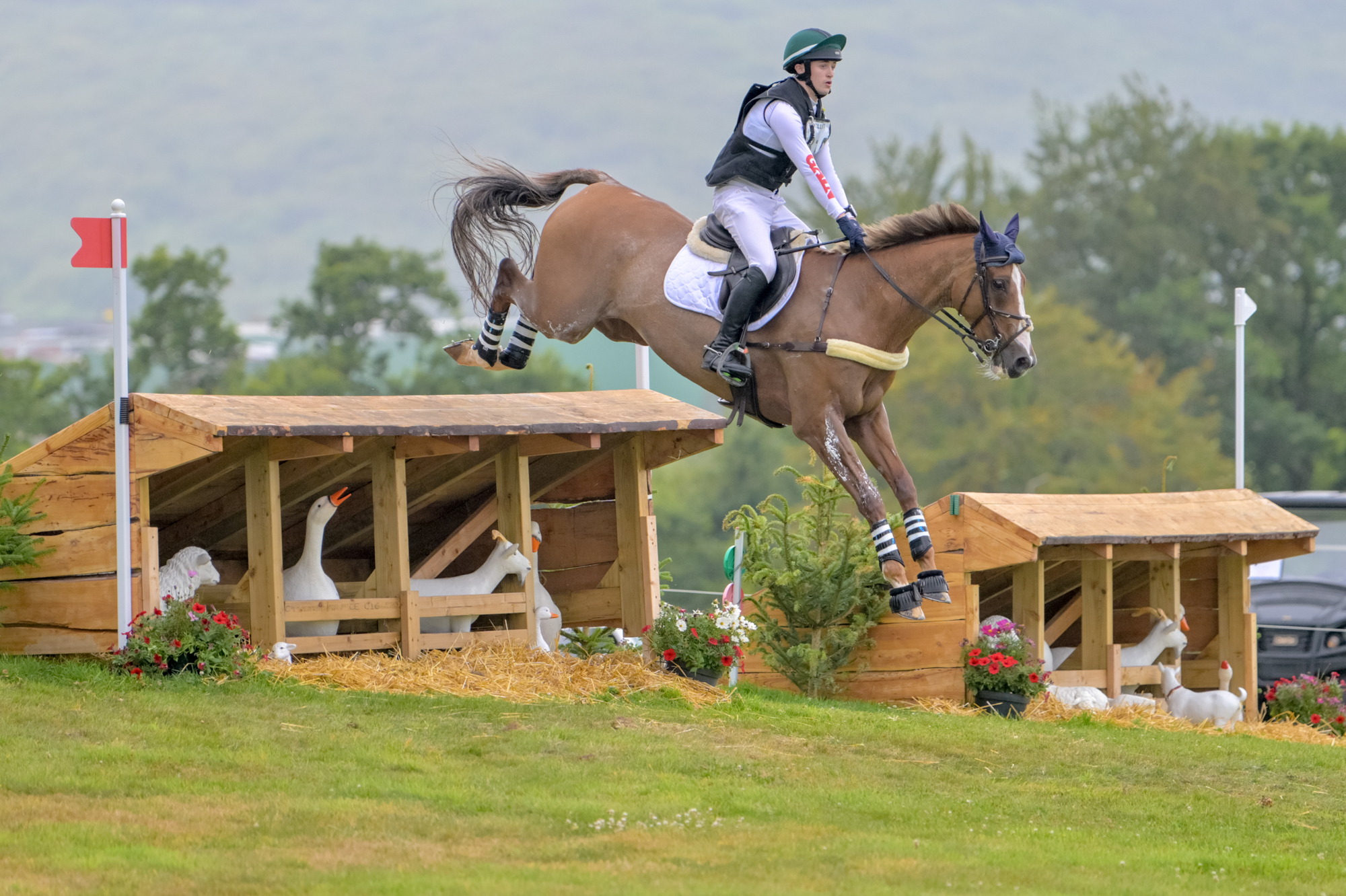 FEI Under-25 Eventing World Championship Millstreet