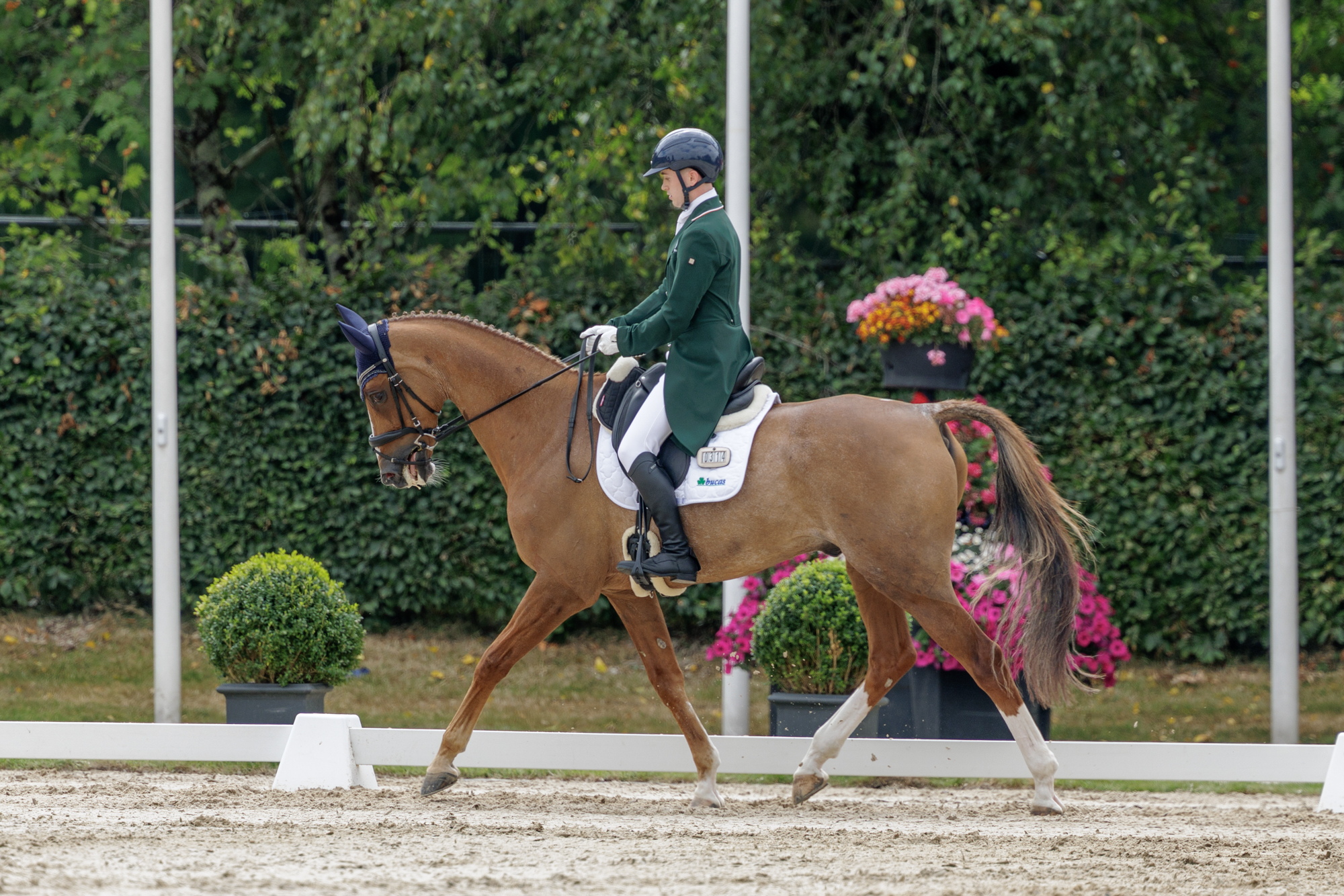 FEI Under-25 Eventing World Championship Millstreet