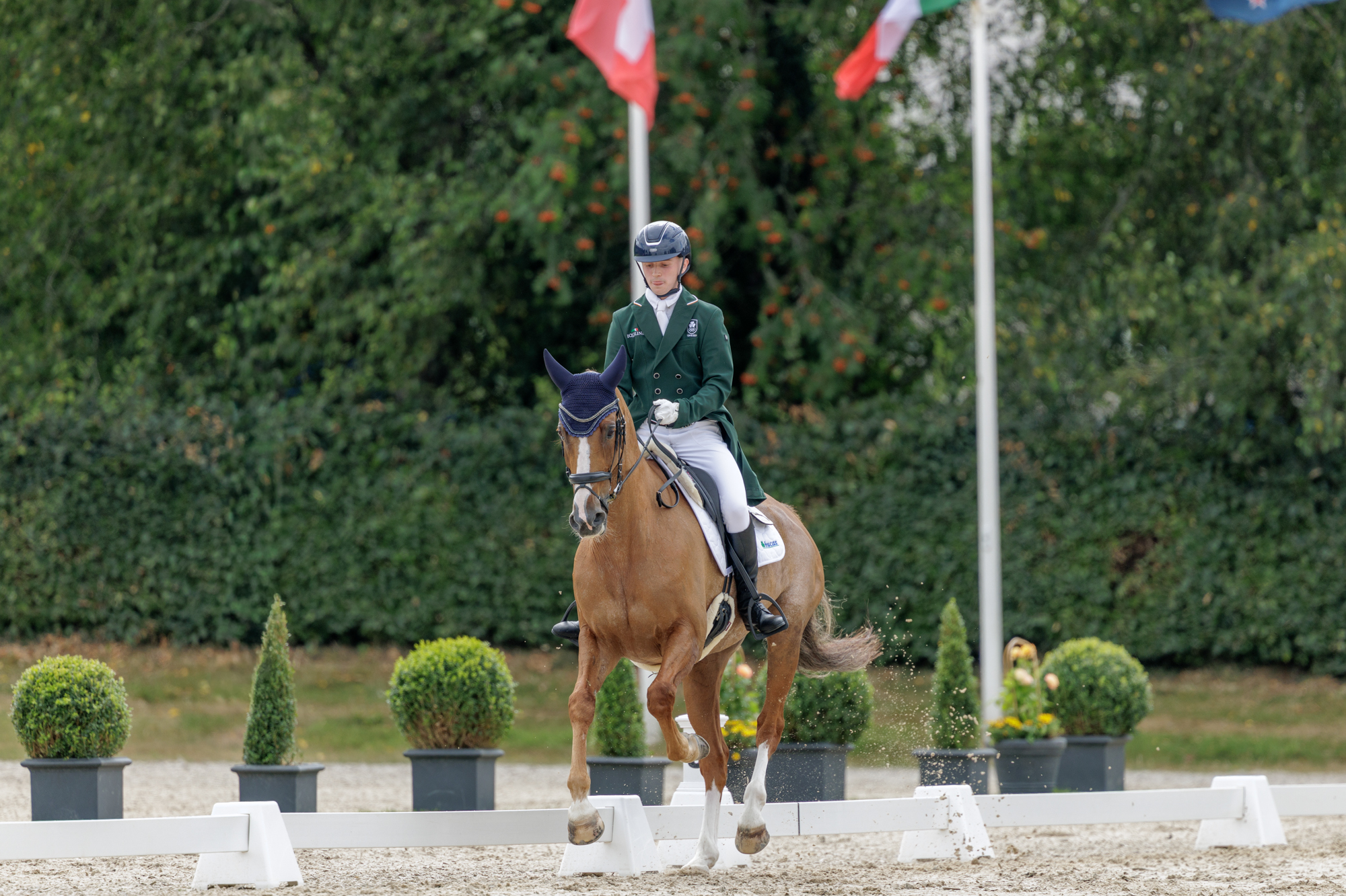 FEI Under-25 Eventing World Championship Millstreet