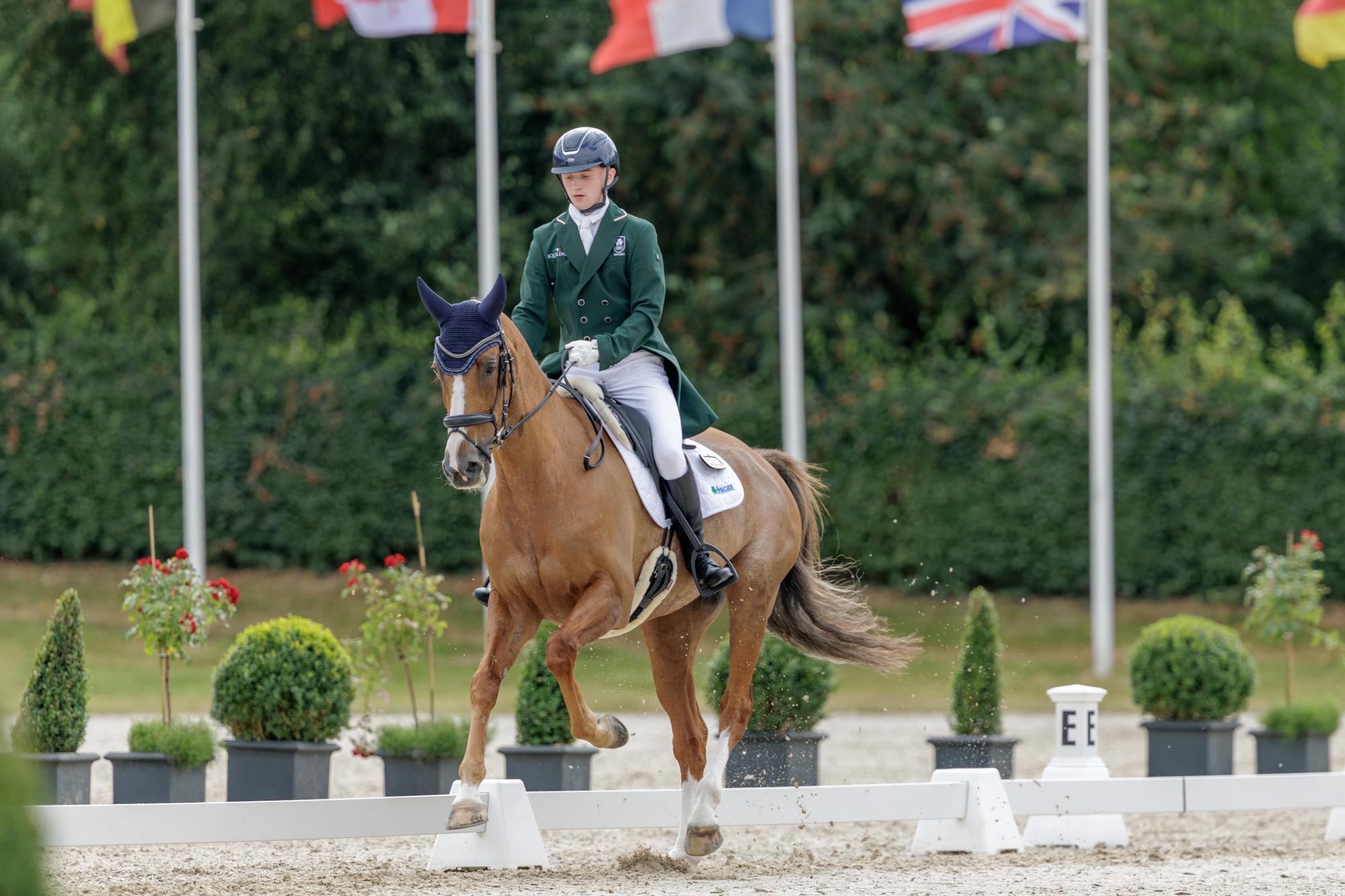 FEI Under-25 Eventing World Championship Millstreet