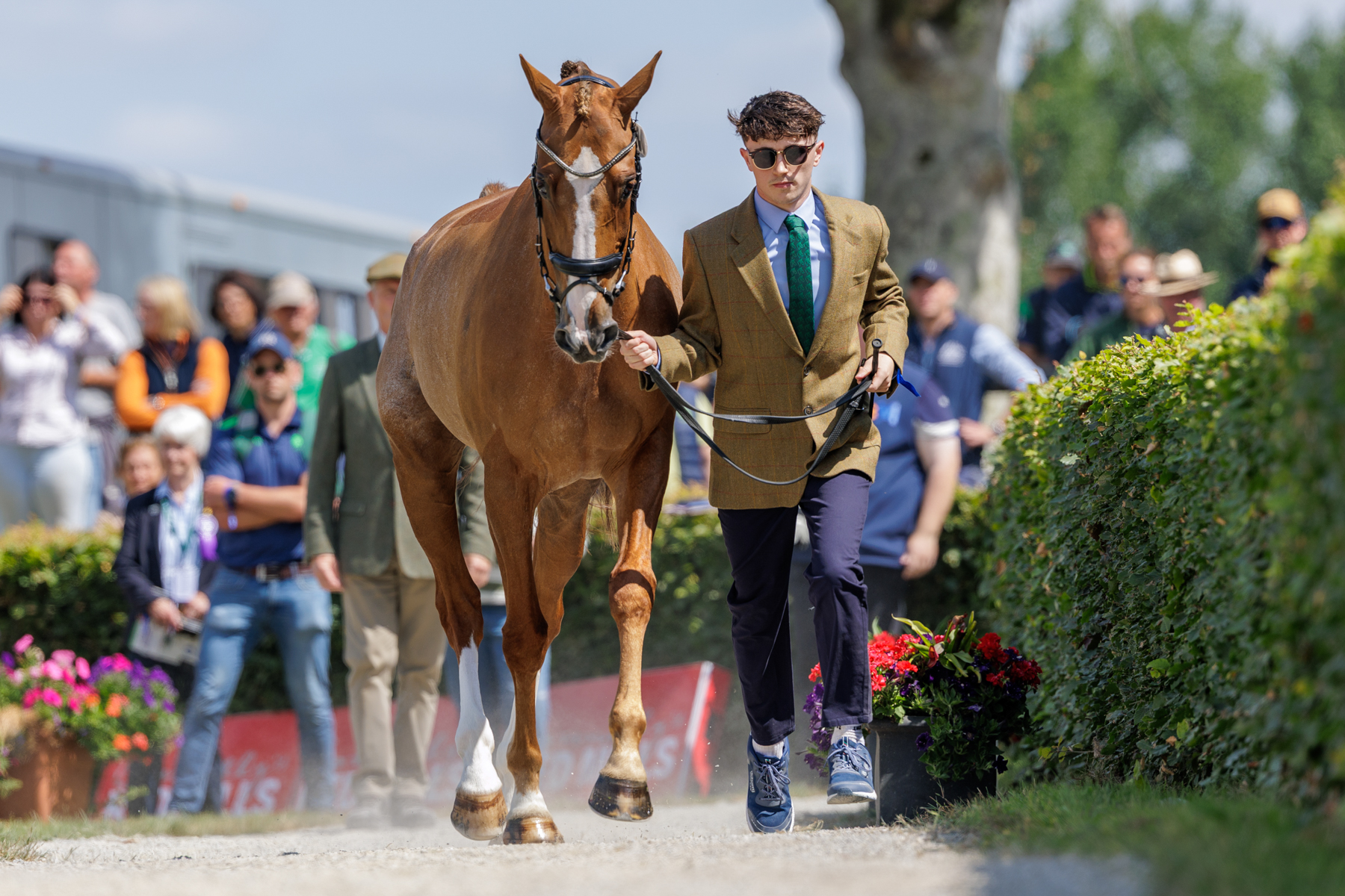 The FEI Eventing World Championship U25 2026 presented by Connolly’s RED MILLS