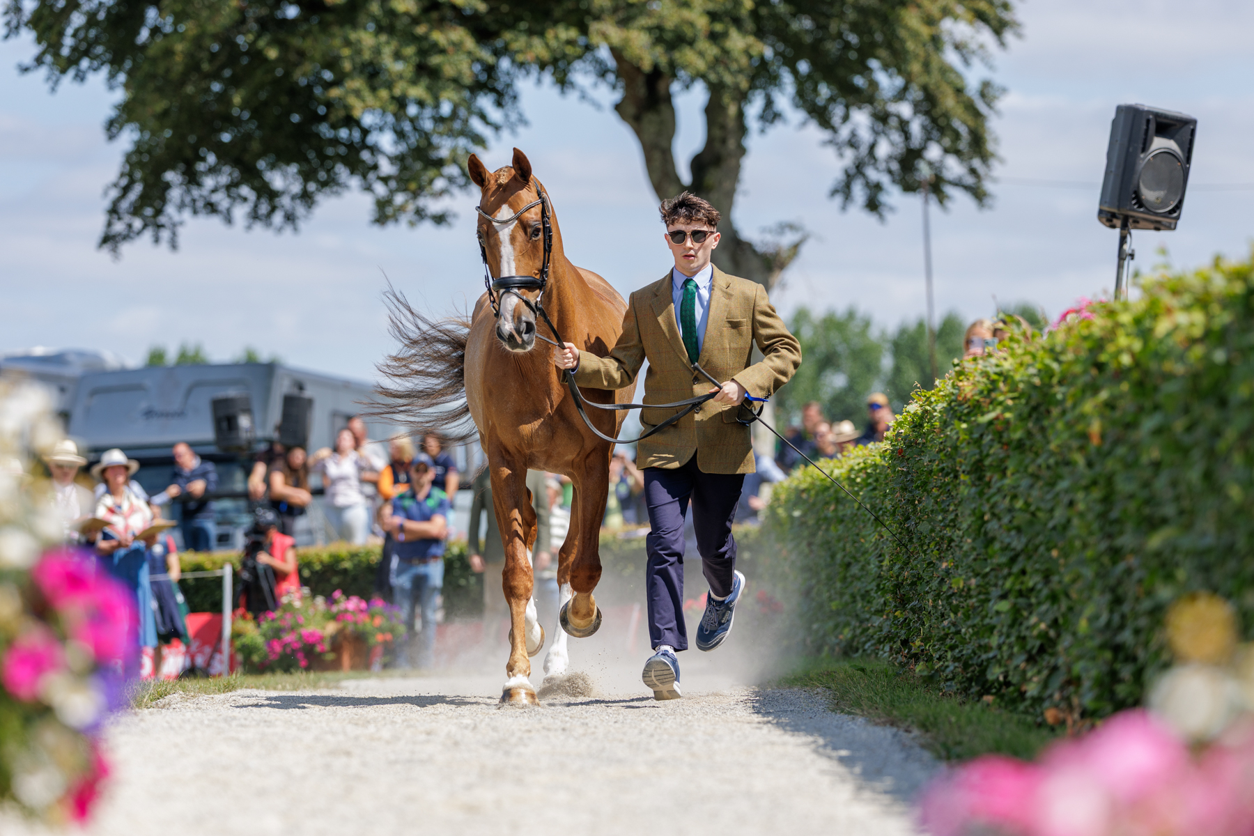 The FEI Eventing World Championship U25 2026 presented by Connolly’s RED MILLS