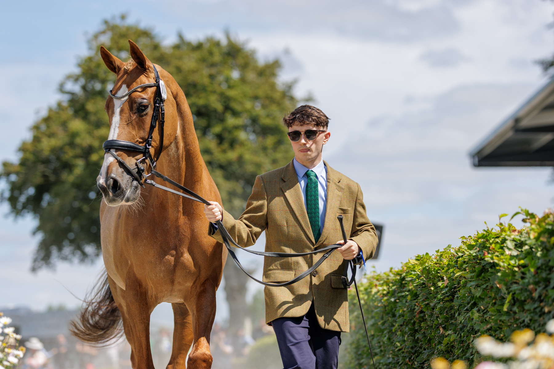 The FEI Eventing World Championship U25 2026 presented by Connolly’s RED MILLS